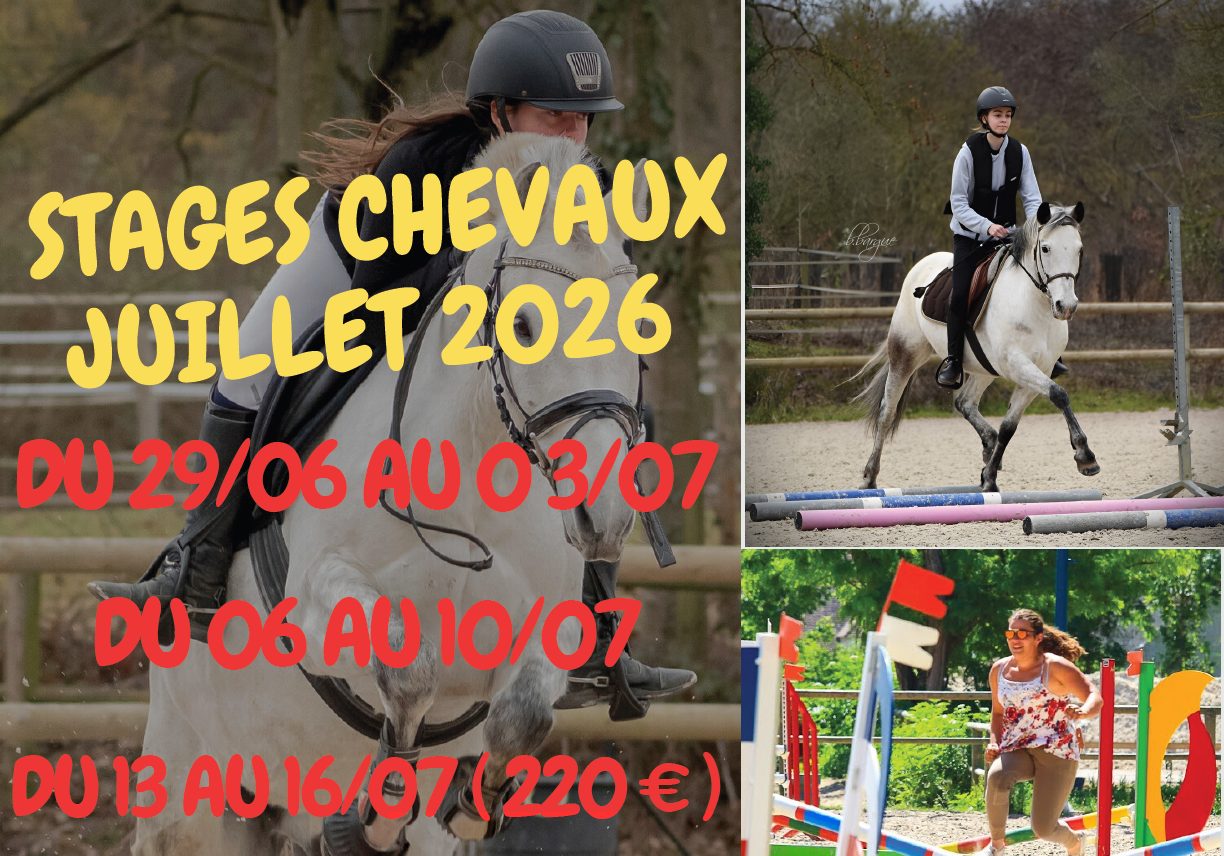 Stages Cheval - Juillet 2026