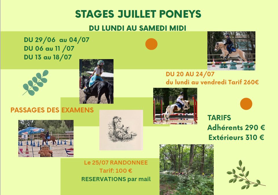 Stages Poney - Juillet 2026