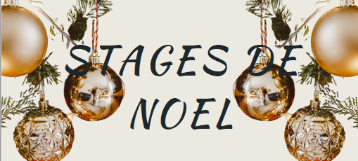 Stages de Noël – Cheval